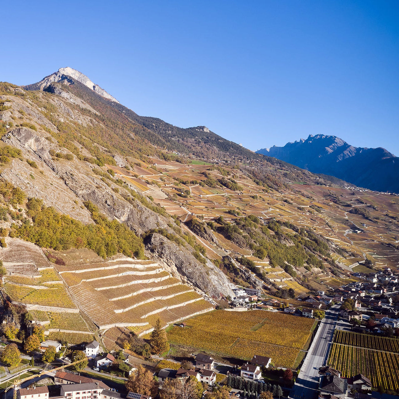 Jean-rené Germanier winery in Switzerland Valais Region, home of the 2023 Petite Arvine 